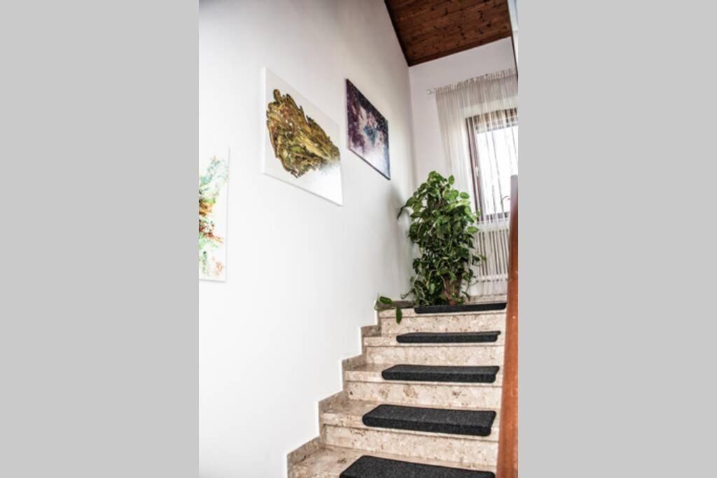 Apartment Pouringraz Fuer Kunst- Und Tennisliebhaber Graz Exterior foto